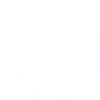 GitHub icon